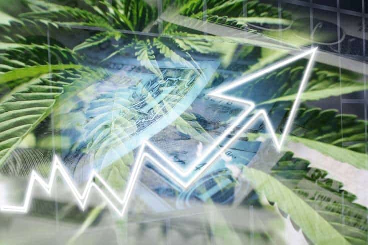 9 Trends and Predictions for the Cannabis Industry in the New Year