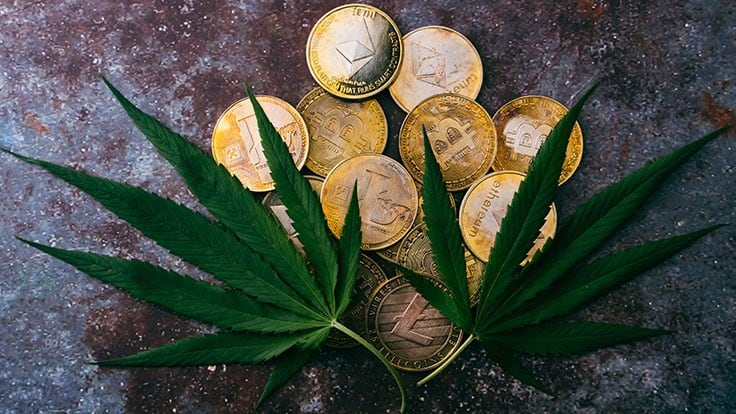 Crypto Cannabis Club Launches Cannabis Brand, Loyalty Program for NFT Owners 