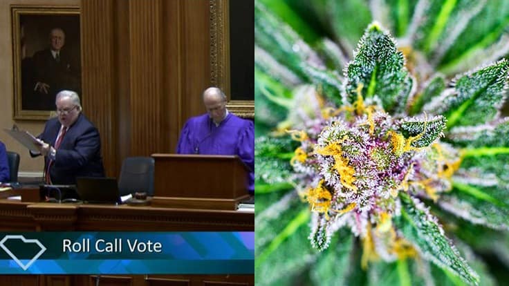 South Carolina Medical Cannabis Marathon Finds Senate Approval
