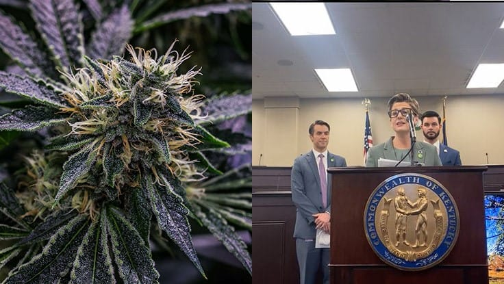 Kentucky Lawmakers Introduce Adult-Use Bill: LETT’s Grow 
