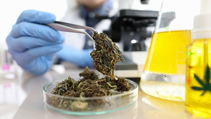 Arizona Cannabis Testing Lab to Pay $470K to Keep License