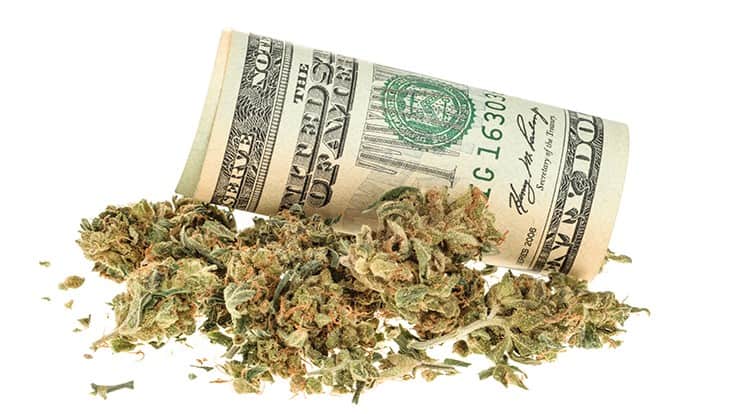 California Cannabis Banks $5.2 Billion in 2021 Sales