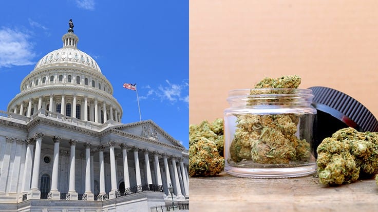 D.C. Remains on Cannabis Sales Sideline in New Omnibus Bill