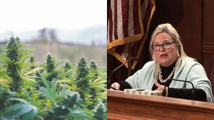 Pennsylvania Cannabis Hearings Only Presented ‘One Side,’ Left Out SAM