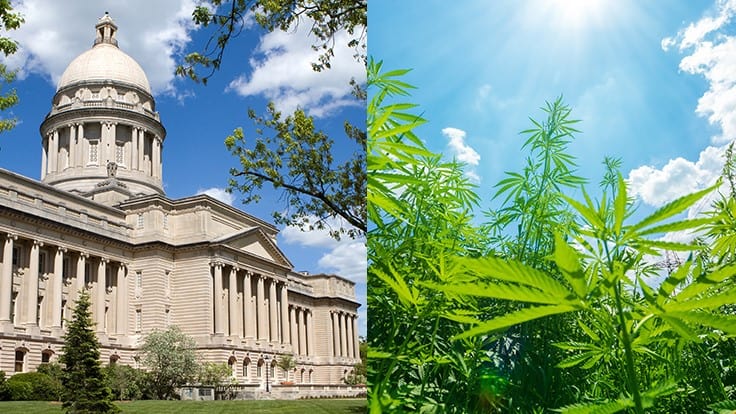 Kentucky Medical Cannabis Reform Inches Closer With House Passage