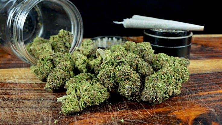 Colorado Senators’ Push For More Underage Cannabis Compliance Checks Stalls in Committee