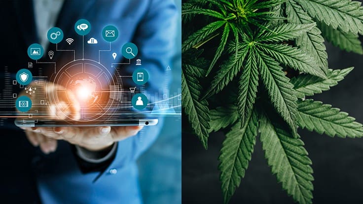 Mississippi Signs Deal With Texas-Based Tyler Technologies for Medical Cannabis Licensing
