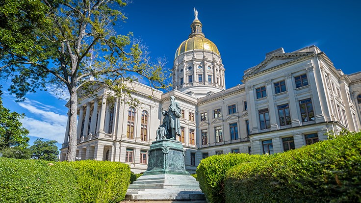 Georgia Governor Appoints New Cannabis Commission Chair