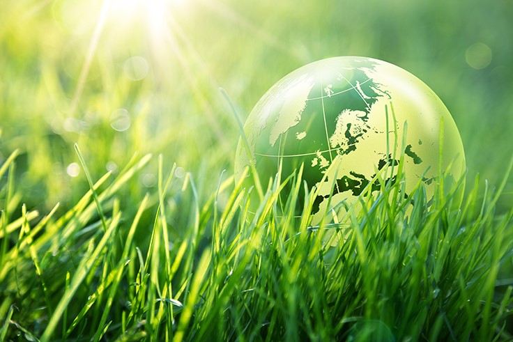 5 Steps to Mitigate Greenwashing Risks (and Why You Should Pay Attention)
