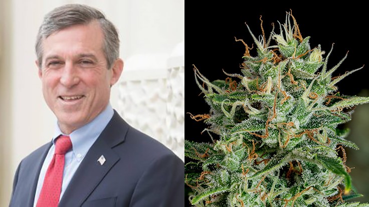 Delaware Democratic Governor Vetoes Cannabis Possession Legislation