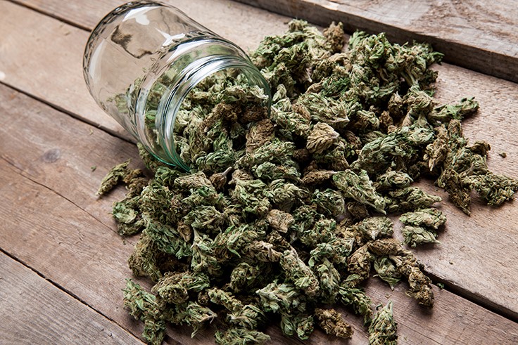 New Report Says Price, Convenience Fuel Illicit Cannabis Market