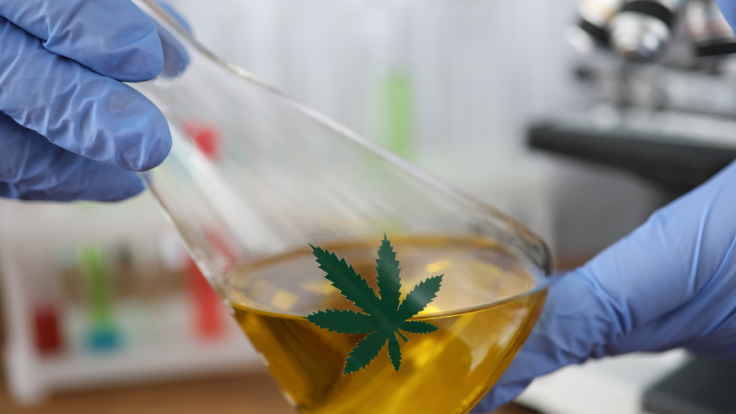 Leafreport Study Unveils Lack of Purity and Potency Testing by CBD Brands