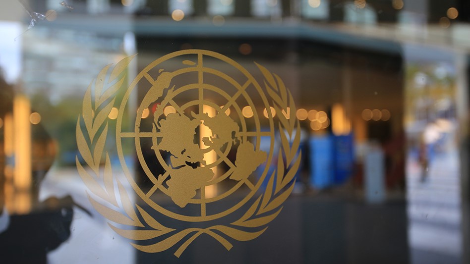 With 209 Million Cannabis Users Worldwide, UN Drug Report Delves Into Legalization Impacts