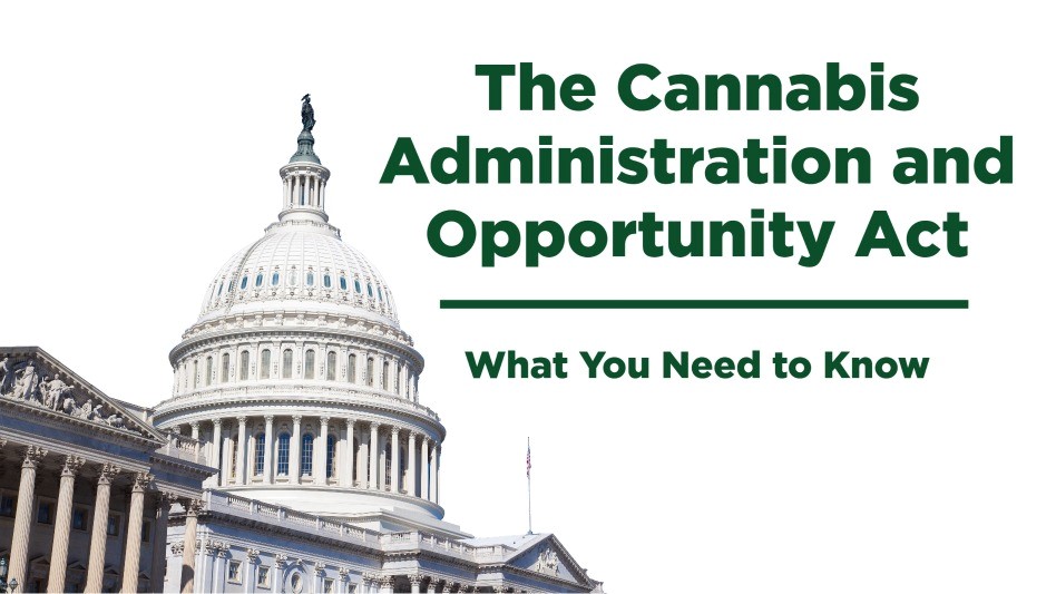 Schumer and Company File Federal Cannabis Legalization Bill