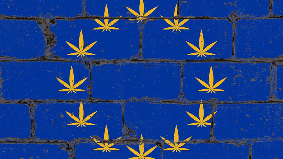 European Cannabis Regulators Ease Restrictions in Preparation of EU Green Wave