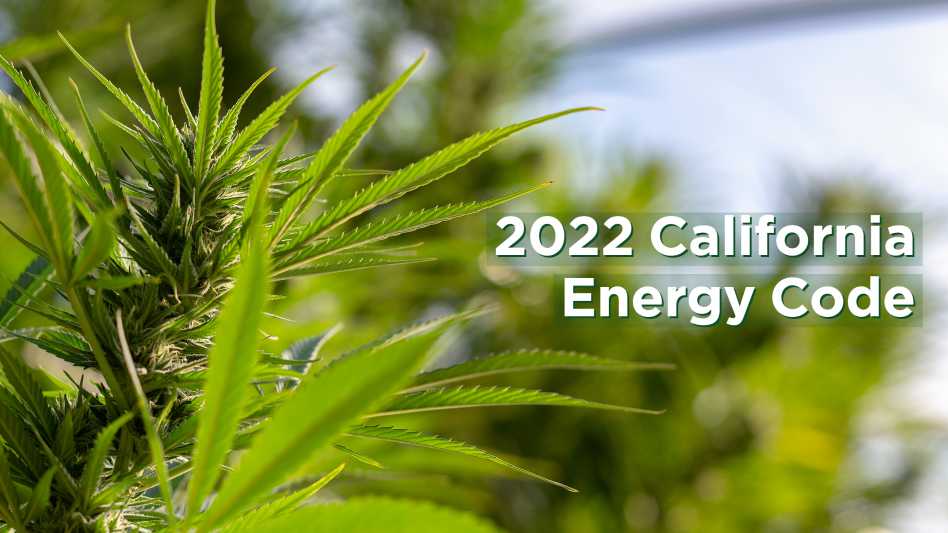 /dr-nadia-sabeh-california-energy-standards-cannabis-growing.aspx