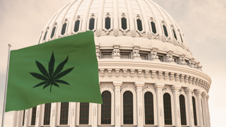 How Cannabis Operators Can Get Involved at the Federal Level