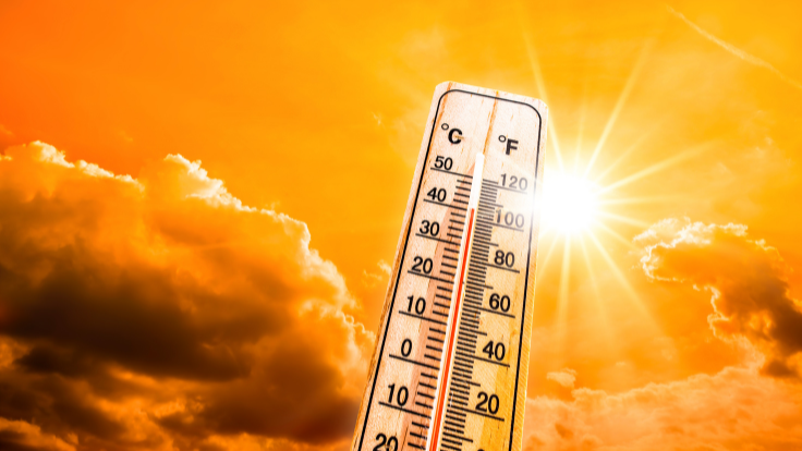 California DCC Requests Cultivators Reduce Energy Loads Due to High Temperatures