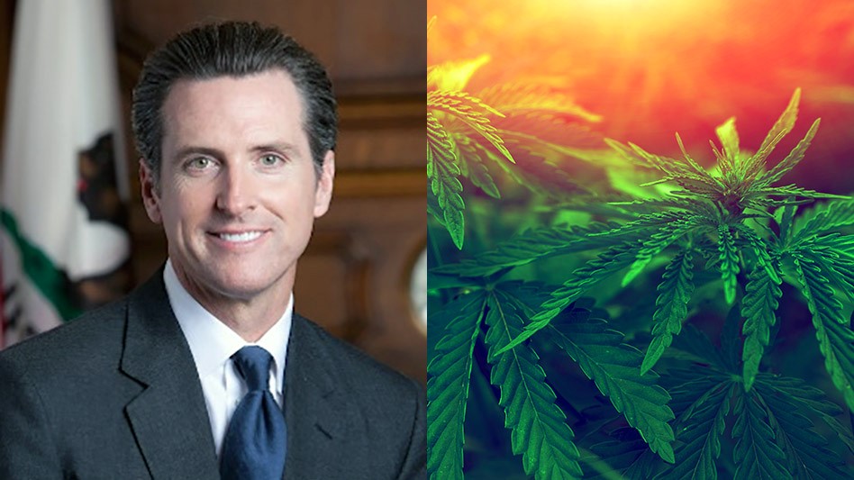 California Governor Signs 10 Cannabis-Related Bills Into Law
