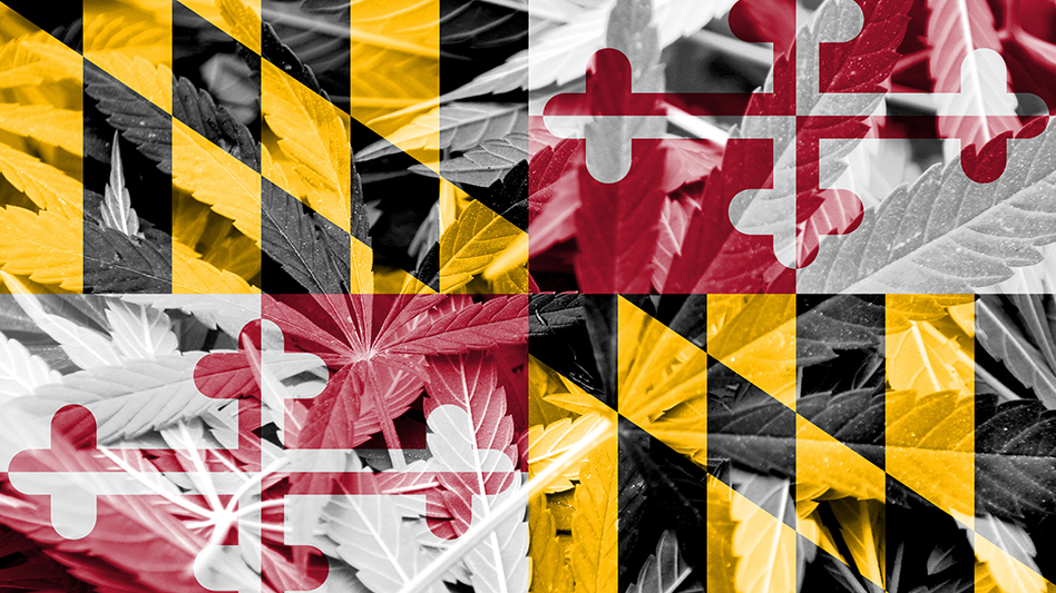 Maryland Voters Favor Cannabis Legalization: Poll