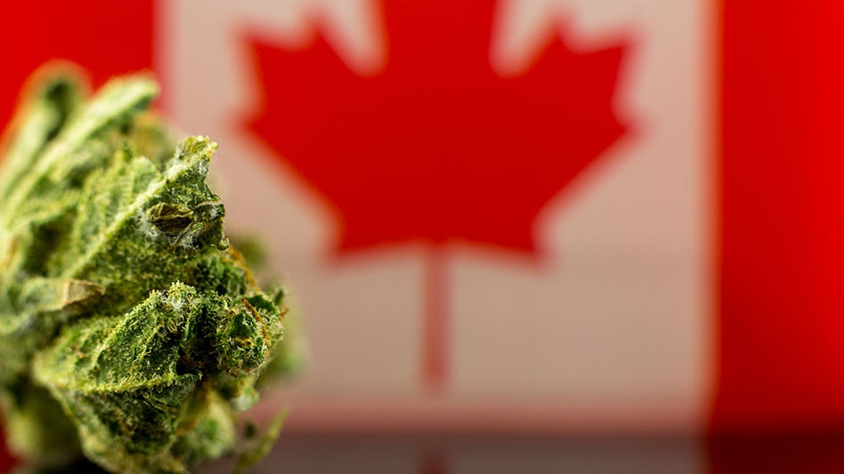 ‘Rounding the Corners:’ Reviewing Canada’s Cannabis Act 4 Years Later
