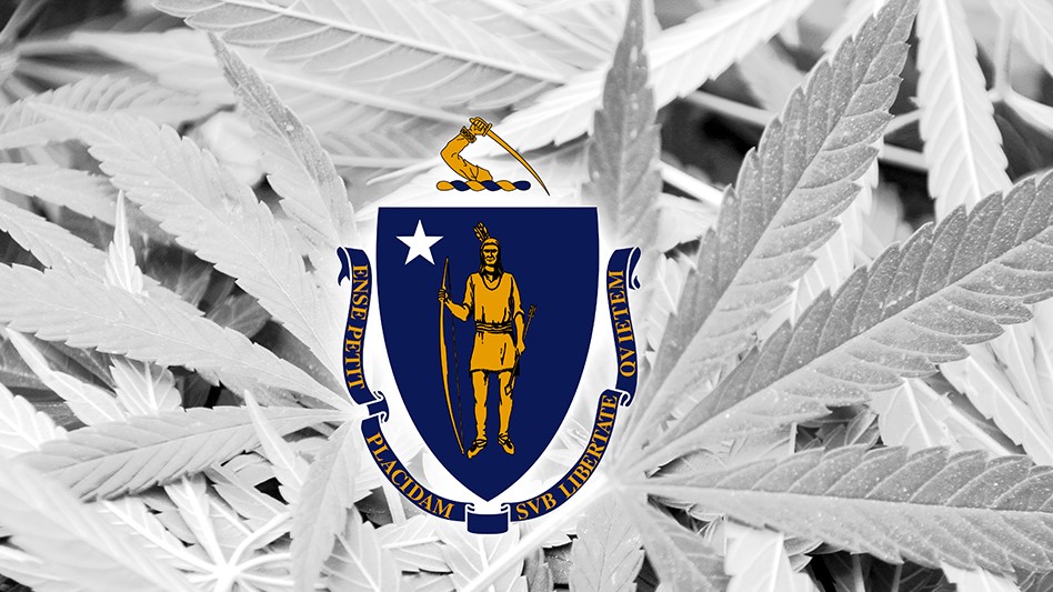 Massachusetts Cannabis Flower Prices Drop 42% in Past Year