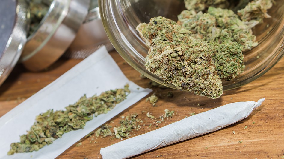 Oregon Cannabis Retailer Kaya Shack Enters Sale-Surrender Settlement