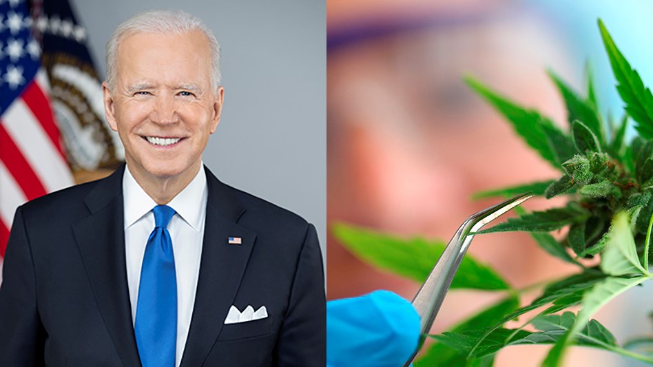 UPDATED: President Biden Signs Bipartisan Cannabis Research Bill 