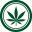 www.cannabisbusinesstimes.com