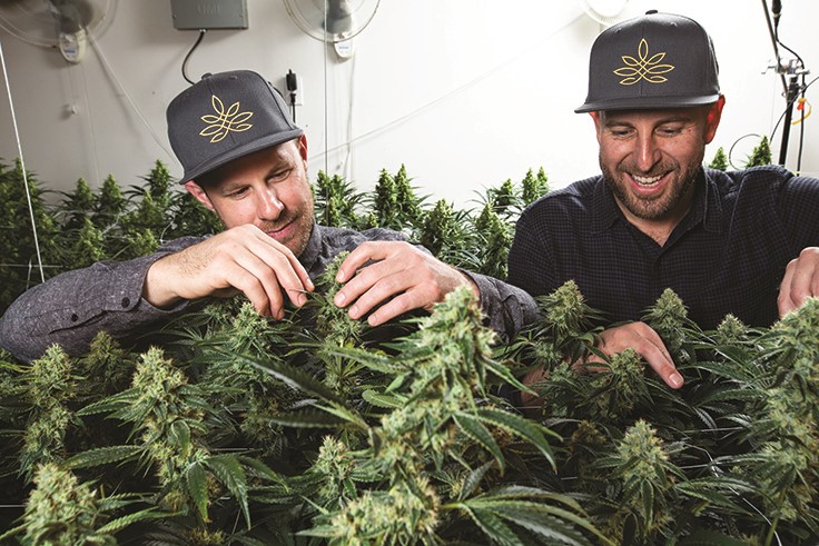 How California's Legacy Drives State Flower Cannabis CEO Daniel Wacks