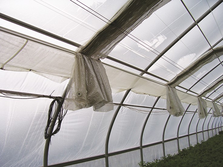 20 Tips For Greenhouse Winterization