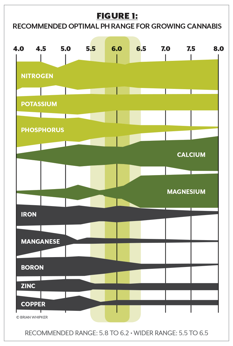 Cannabis Fertilizer Chart