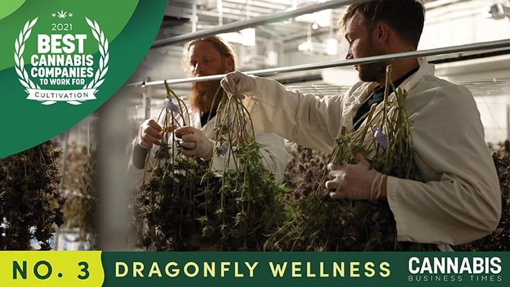 Utah's Dragonfly Wellness Provides More than a Job For Employees