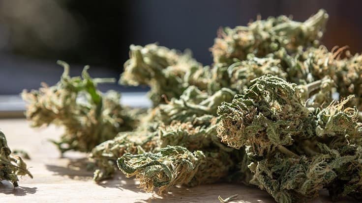 CBD vs. THC Flower: Why the Price Difference? - Cannabis Business Times