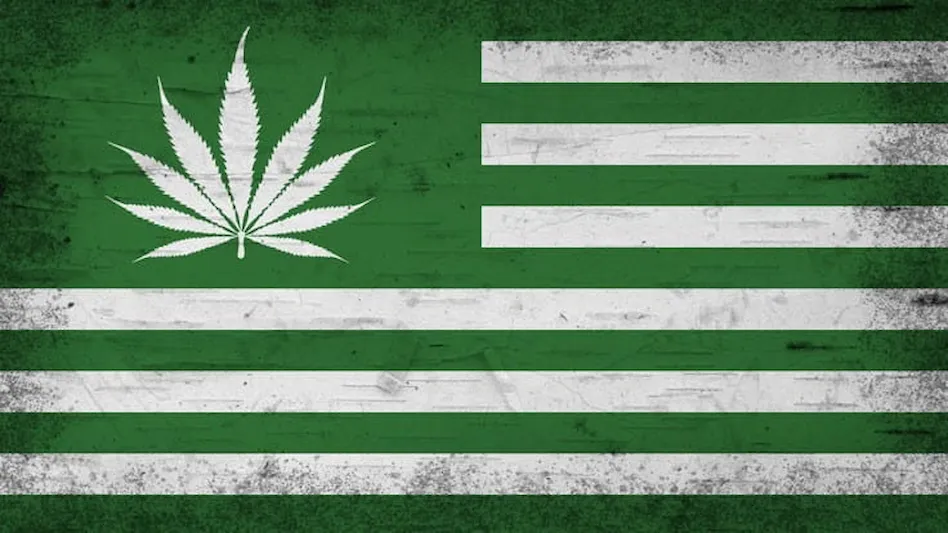 Green American flag with cannabis leaf
